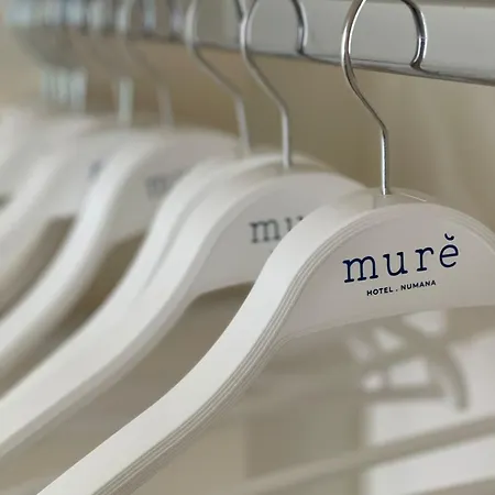Mure